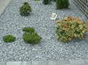 Gartengestaltung