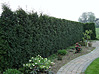 Gartengestaltung