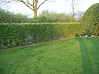 Gartengestaltung