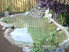 Wasser im Garten (Teichbau)