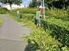 Zurückschneiden einer Hecke am Straßenrand