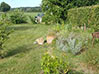 Wiese vor unserer Gartengestaltung