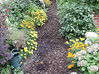 Gartengestaltung: Weg aus Holzspan/Mulch